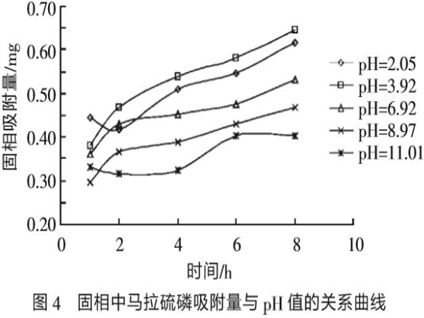 ��ͬ���،�����̿�����R�����׵�Ӱ�